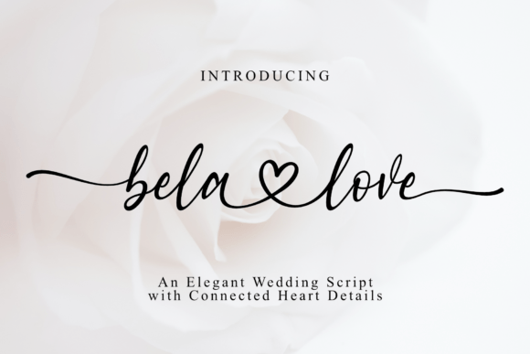 Bela Love: A Romantic Script Font for Elegant Design